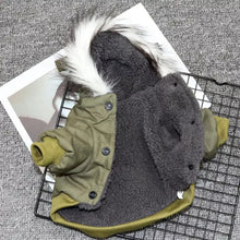 Load image into Gallery viewer, JACKET PARA MASCOTA
