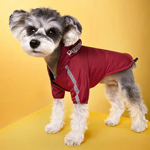 Load image into Gallery viewer, IMPERMEABLE PARA MASCOTA
